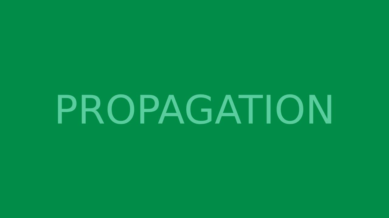 PROPAGATION