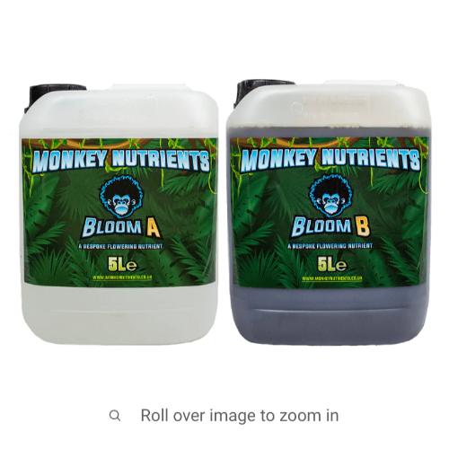 Monkey AB BLOOM 10L