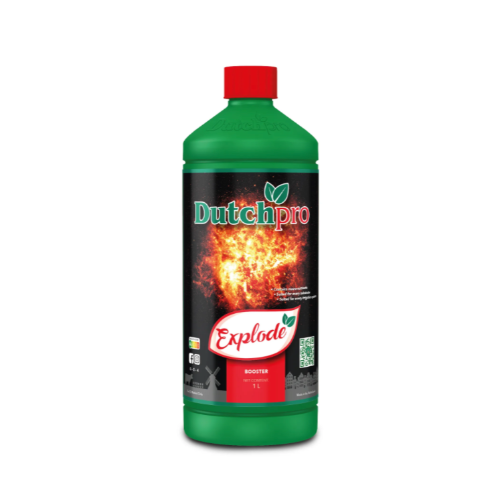 Explode "DUTCHPRO"