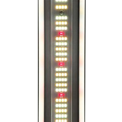 LUMII XLEDV6 680W LED