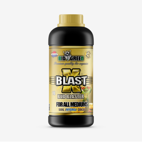 X-BLAST